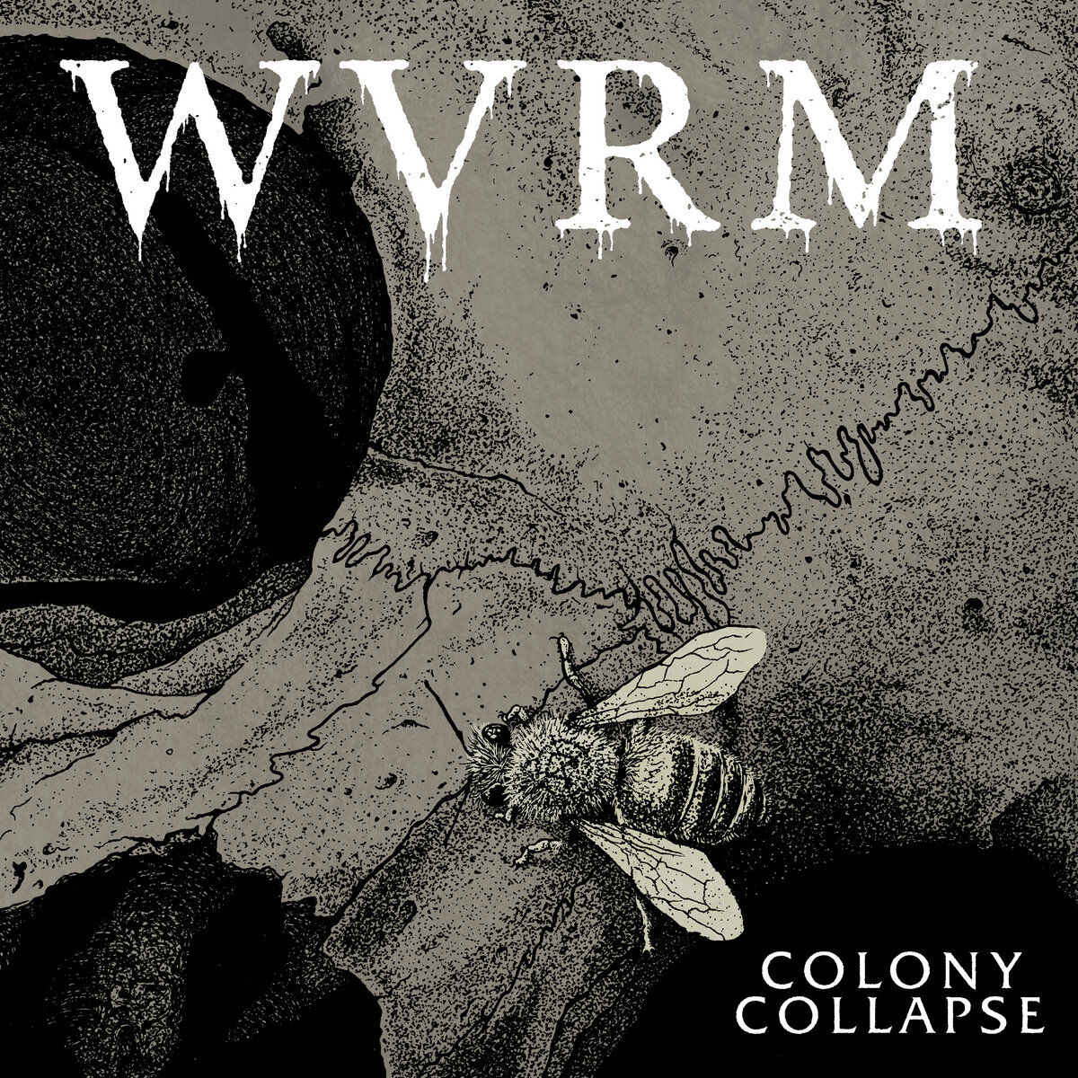 wvrm.jpg